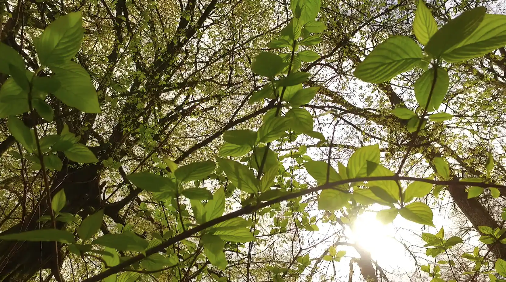 Qualita E Ambiente Almet Italia